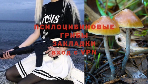 шишки Вяземский