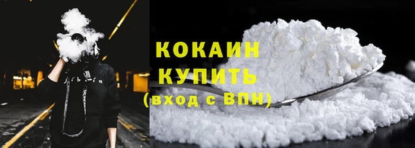 шишки Вяземский