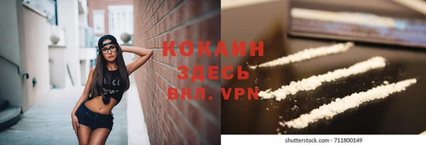 шишки Вяземский
