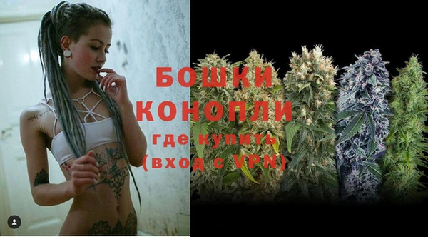 круглые Вязьма