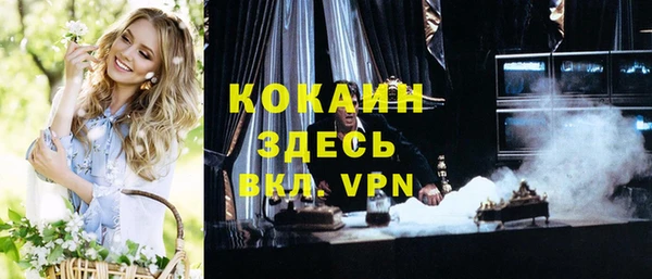 шишки Вяземский