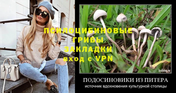 круглые Вязьма