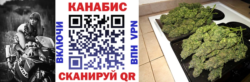 продажа наркотиков  Ростов-на-Дону  МАРИХУАНА THC 21% 